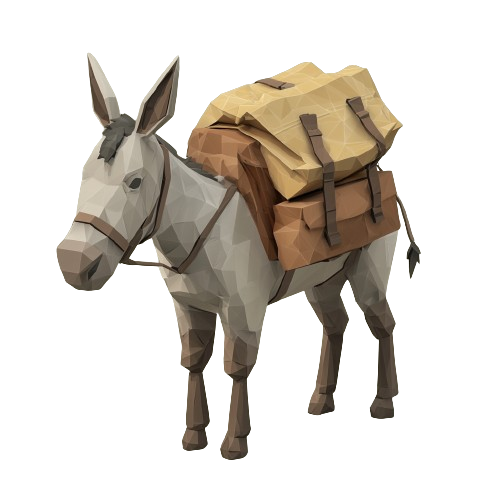 DONKEY